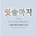 🌟엇송아지: 아직 다 자라지 못한 송아지. - 표준국어대사전