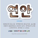 🌟연안: 황해도에 있는 읍. 연백평야의 중심지로, 농산물 유통이 발달하였고 온천이 있다. 연백군의 군청 소... - 표준국어대사전