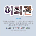 🌟어뢰관: 어뢰를 발사하는 장치. 대포의 포신과 비슷한 모양이며 구조가 간단하다. 수상 발사관, 수중 발사... - 표준국어대사전