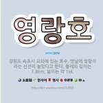 🌟영랑호: 강원도 속초시 교외에 있는 호수. 옛날에 영랑이라는 신선이 놀았다고 한다. 둘레의 길이는 7.8... - 표준국어대사전