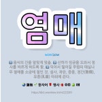 🌟염매: 익어서 떨어질 무렵의 매실나무 열매를 소금에 절인 것. 설사, 곽란, 중풍, 경간(驚癇), 유종(... - 표준국어대사전