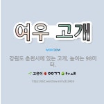 🌟여우 고개: 강원도 춘천시에 있는 고개. 높이는 98미터. - 표준국어대사전