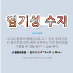 🌟염기성 수지: 수지의 골격이 양이온으로 되어 있어 상대 이온인 음이온과 용액 중에 존재하는 다른 음이온을... - 표준국어대사전