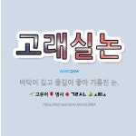 🌟고래실논: 바닥이 깊고 물길이 좋아 기름진 논. - 표준국어대사전