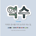 🌟역수: 미래의 운수를 미리 눈치로 아는 일. - 표준국어대사전