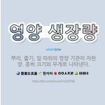 🌟영양 생장량: 뿌리, 줄기, 잎 따위의 영양 기관이 자란 양. 흔히 크기와 무게로 나타낸다. - 표준국어대사전