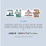 🌟고실 소골: 가운데귀의 속에 있는 세 개의 작은 뼈. 망치뼈, 모루뼈, 등자뼈로 고막의 진동을 속귀에 전... - 표준국어대사전
