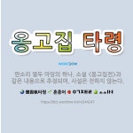🌟옹고집 타령: 판소리 열두 마당의 하나. 소설 <옹고집전>과 같은 내용으로 추정되며, 사설은 전하지 않는다. - 표준국어대사전
