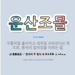 🌟운산조몰: 구름처럼 흩어지고 새처럼 사라진다는 뜻으로, 종적이 없어짐을 이르는 말. - 표준국어대사전