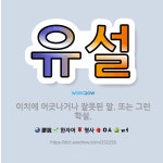 🌟유설: 이치에 어긋나거나 잘못된 말. 또는 그런 학설. - 표준국어대사전