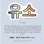 🌟유소: 고려 현종ㆍ덕종 때의 대신(?~1038). 정주(貞州) 유씨(柳氏)의 시조. 1029년에 대연림(... - 표준국어대사전