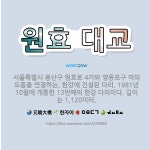 🌟원효 대교: 서울특별시 용산구 원효로 4가와 영등포구 여의도동을 연결하는, 한강에 건설된 다리. 1981... - 표준국어대사전