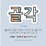 🌟골각: 신체 가운데 뼈가 쑥 불거져 나온 곳., 뼈와 뿔을 아울러 이르는 말. - 표준국어대사전