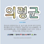 🌟의령군: 경상남도 중앙에 있는 군. 높고 낮은 산으로 되어 있으며, 특산물로 한지가 유명하다. 명승지로 ... - 표준국어대사전