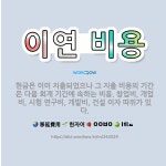 🌟이연 비용: 현금은 이미 지출되었으나 그 지출 비용의 기간은 다음 회계 기간에 속하는 비용. 창업비, 개... - 표준국어대사전