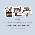 🌟일편주: 통나무를 쪼개어 속을 파서 만든 작은 배. - 표준국어대사전