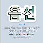 🌟음선: 음파의 면에 수직을 이루는 직선. 음파가 퍼져 나가는 방향을 나타낸다. - 표준국어대사전