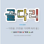 🌟골다리: → 다릿골. (다릿골: 다리뼈 속의 골.) - 표준국어대사전