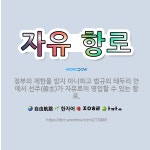 🌟자유 항로: 정부의 제한을 받지 아니하고 법규의 테두리 안에서 선주(船主)가 자유로이 영업할 수 있는 항로. - 표준국어대사전