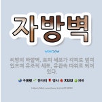 🌟자방벽: 씨방의 바깥벽. 표피 세포가 각피로 덮여 있으며 유조직 세포, 유관속 따위로 되어 있다. - 표준국어대사전