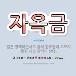 🌟자옥금: 같은 광맥이면서도 금의 함유량이 고르지 못한 사금 광맥의 상태. - 표준국어대사전