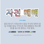 🌟자전 매매: 증권 회사가 거래소에서 동일 주식에 대하여 동일 수량을 동일 가격으로 매도(賣渡)와 매수(買... - 표준국어대사전