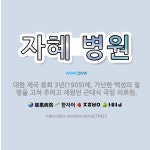 🌟자혜 병원: 대한 제국 융희 3년(1909)에, 가난한 백성의 질병을 고쳐 주려고 세웠던 근대식 국립 의료원. - 표준국어대사전