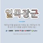 🌟일목장군: ‘애꾸눈이’를 놀림조로 이르는 말. (애꾸눈이: 한쪽 눈이 먼 사람을 낮잡아 이르는 말.) - 표준국어대사전