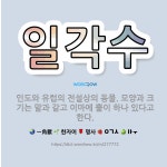 🌟일각수: 인도와 유럽의 전설상의 동물. 모양과 크기는 말과 같고 이마에 뿔이 하나 있다고 한다. - 표준국어대사전