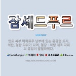 🌟잠셰드푸르: 인도 북부 비하르주 남부에 있는 중공업 도시. 석탄, 철광 따위가 나며, 철강ㆍ차량 제조 따... - 표준국어대사전