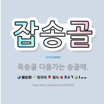 🌟잡송골: 옥송골 다음가는 송골매. - 표준국어대사전