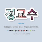 🌟정교수: 대학교수 직위의 하나. 부교수의 위이다. - 표준국어대사전