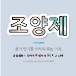 🌟조양제: 몸의 양기를 보하여 주는 약제. - 표준국어대사전