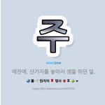 🌟주: 예전에, 산가지를 놓아서 셈을 하던 일. - 표준국어대사전