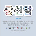 🌟중선암: 충청북도 단양군에 있는 명승지. 단양 팔경의 하나로, 단양 남쪽의 소백산맥에서 내려오는 남한강을... - 표준국어대사전