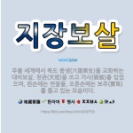 🌟지장보살: 무불 세계에서 육도 중생(六道衆生)을 교화하는 대비보살. 천관(天冠)을 쓰고 가사(袈裟)를 입... - 표준국어대사전