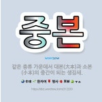 🌟중본: 같은 종류 가운데서 대본(大本)과 소본(小本)의 중간이 되는 생김새. - 표준국어대사전