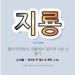 🌟지룡: 풍수지리에서, 내룡에서 갈라져 나온 산줄기. - 표준국어대사전