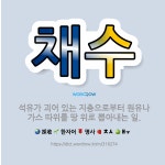 🌟채수: 석유가 괴어 있는 지층으로부터 원유나 가스 따위를 땅 위로 뽑아내는 일. - 표준국어대사전