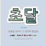 🌟초달: 보통을 넘어서 그 방면에 통달함. - 표준국어대사전