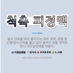 🌟척측 피정맥: 팔의 안쪽을 따라 올라가는 피부 정맥. 위팔 중간쯤에서 근막을 뚫고 깊이 들어가 위팔 정맥... - 표준국어대사전