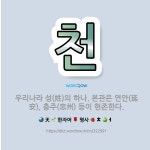 🌟천: 우리나라 성(姓)의 하나. 본관은 연안(延安), 충주(忠州) 등이 현존한다. - 표준국어대사전