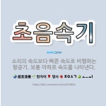 🌟초음속기: 소리의 속도보다 빠른 속도로 비행하는 항공기. 보통 마하로 속도를 나타낸다. - 표준국어대사전