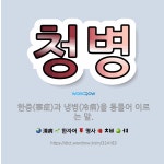 🌟청병: 한증(寒症)과 냉병(冷病)을 통틀어 이르는 말. - 표준국어대사전