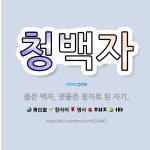 🌟청백자: 몸은 백자, 잿물은 청자로 된 자기. - 표준국어대사전