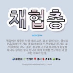 🌟채협총: 평양에서 발굴된 낙랑 때의 고분. 봉분 밑에 있는, 굴식의 전후(前後) 두 개의 목실(木室)에는... - 표준국어대사전