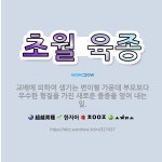 🌟초월 육종: 교배에 의하여 생기는 변이형 가운데 부모보다 우수한 형질을 가진 새로운 품종을 얻어 내는 일. - 표준국어대사전