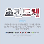 🌟초전도체: 초전도를 나타낼 수 있는 물질. 이리듐, 나이오븀, 타이타늄, 납, 수은, 주석, 바나듐과 그... - 표준국어대사전