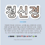 🌟청신경: 여덟째 머릿골 신경으로, 소리를 듣는 달팽이관 신경과 평형 감각을 맡은 안뜰 신경으로 이루어진 ... - 표준국어대사전