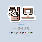 🌟첩모: 눈시울에 난 털. - 표준국어대사전